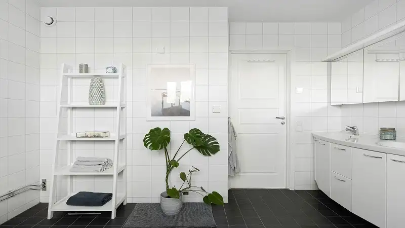 Complete Bathroom Essentials Guide: Design, Storage, and Must-Have Items for Every Home