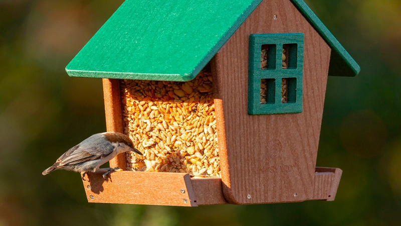 Best Garden Storage Tips for Birdhouses, Feeders, and Accessories